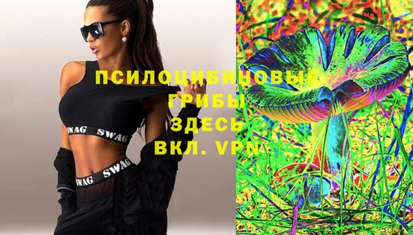 эйфоретик Краснослободск