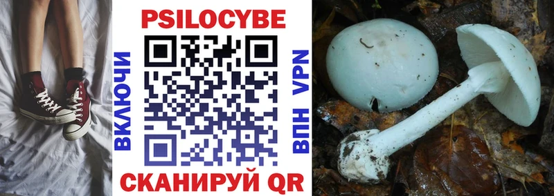 купить наркотики цена Пермь Псилоцибиновые грибы Psilocybe