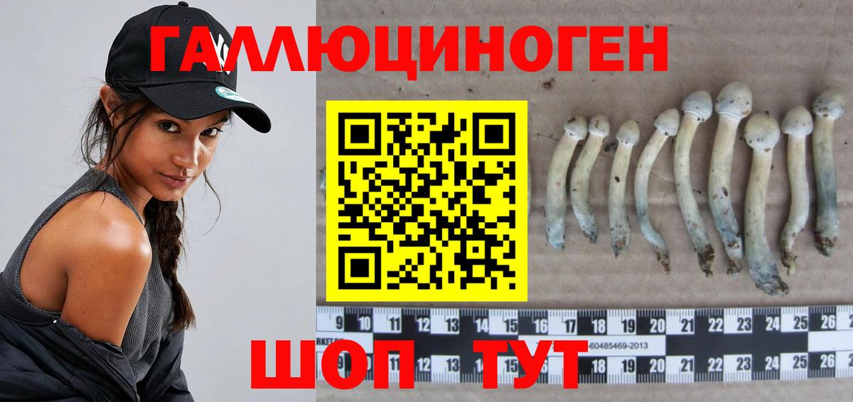 Псилоцибиновые грибы мицелий Пермь